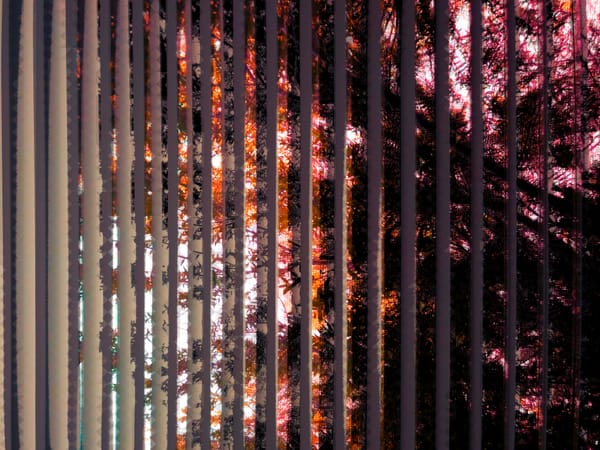 Diode Dreams 31